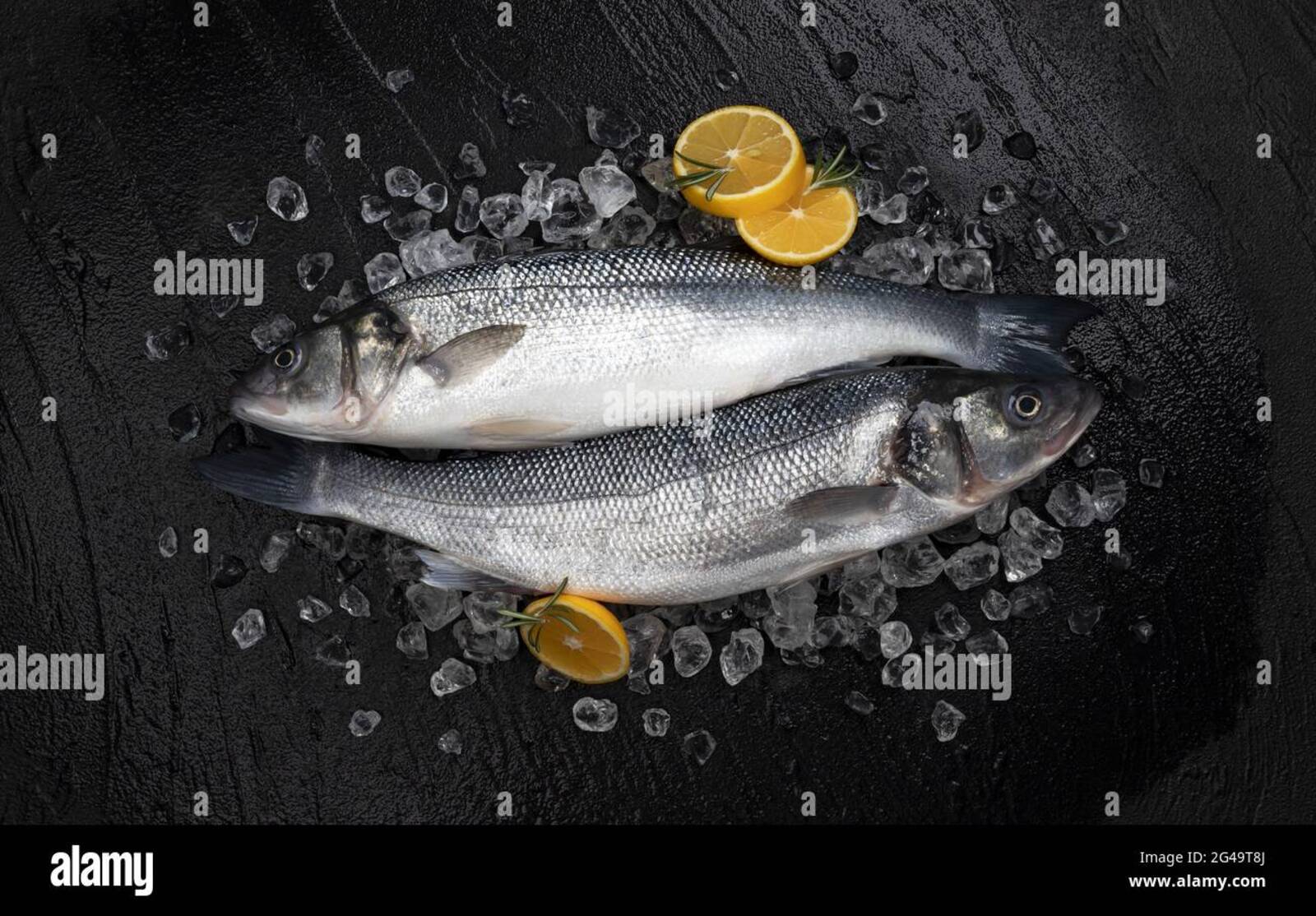 Руководство по ловле морского окуня